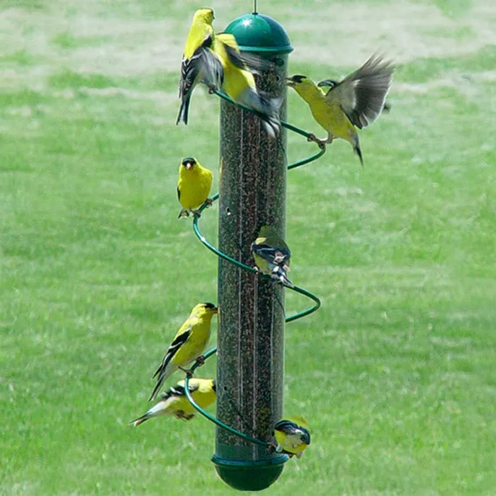 17.5" Green Spiral Finch Tube Feeder
