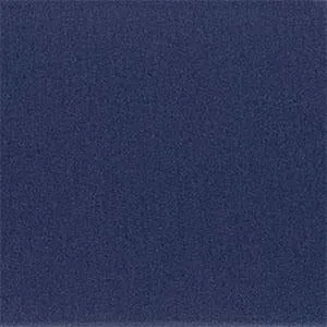 20mm Navy Blue Silicone/Rubber NATO Military Watch Strap