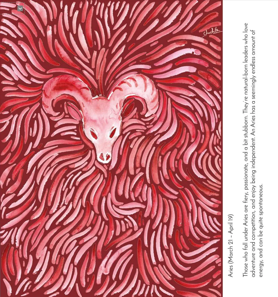 Aries Gift Box / Zodiac Themed Pure Silk Stoll Scarf