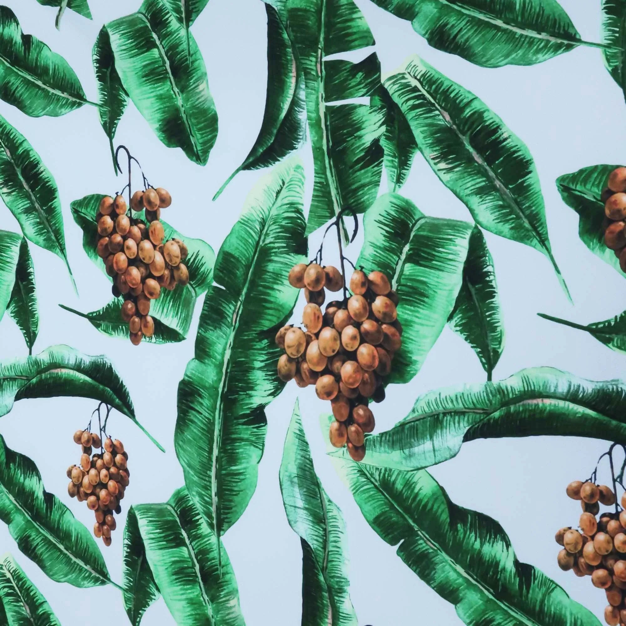 Baby Blue Grape Tree Leaves Floral Printed Polyester
