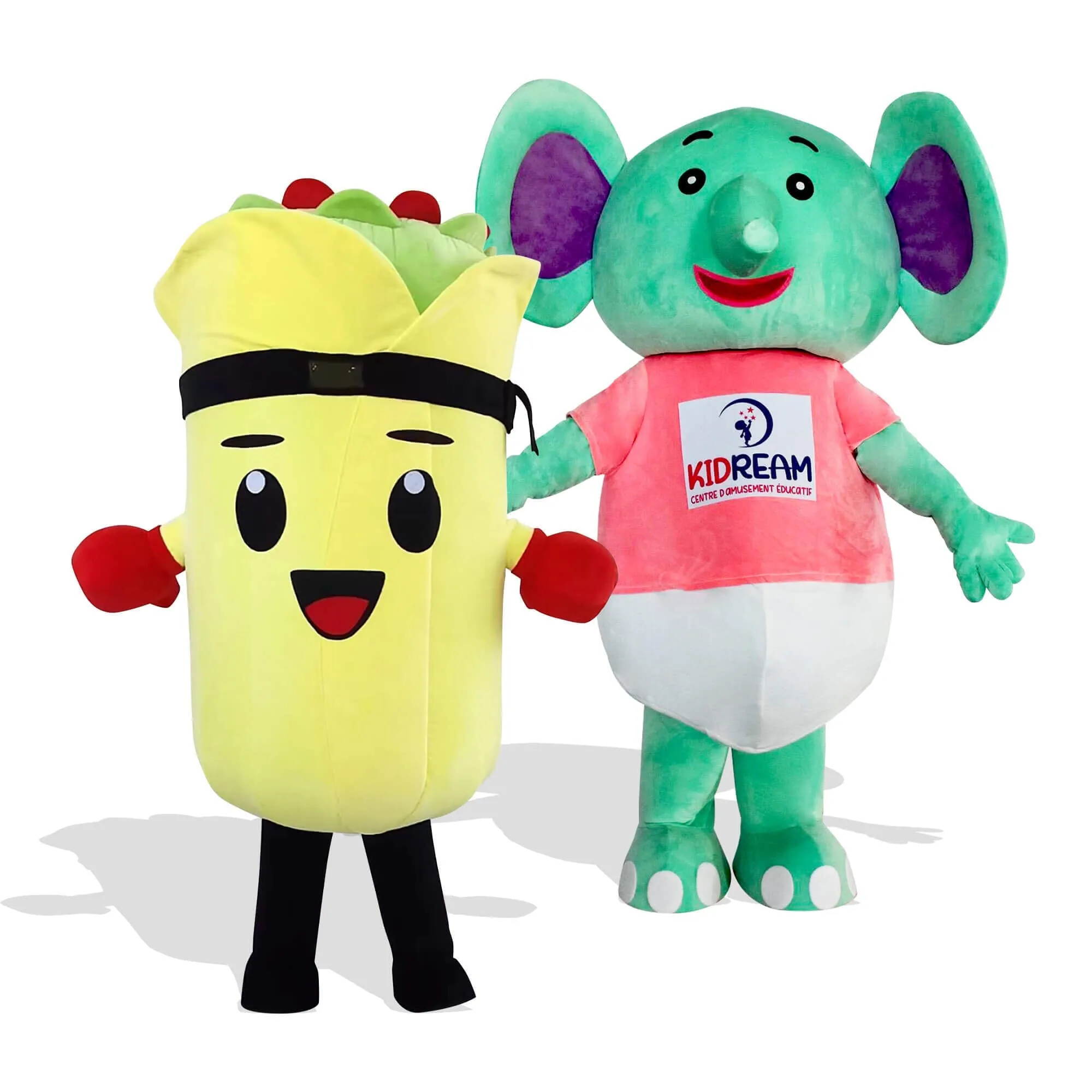 Custom Mascot Costume