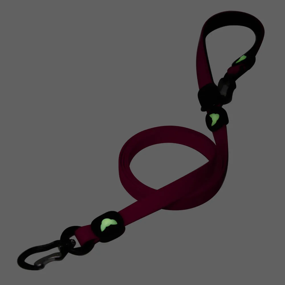 Multi-Adventure, Multi-Hands Free Leash | One (1) Year Guarantee*